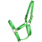 ****PHOTO SAMPLE*** $10 Lime Green Nylon Halter - Horse Size