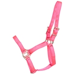 ****PHOTO SAMPLE*** $10 Hot Pink Nylon Halter - Horse Size