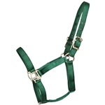 ****PHOTO SAMPLE*** $10 Hunter Green Nylon Halter - Horse Size