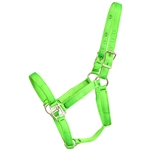 ****PHOTO SAMPLE*** $10 Lime Green Nylon Halter - Horse Size