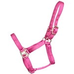 ****PHOTO SAMPLE*** $10 Raspberry Pink Nylon Halter - Horse Size