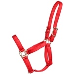 ****PHOTO SAMPLE*** $10 Red Nylon Halter - Horse Size
