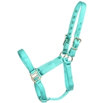 ****PHOTO SAMPLE*** $10 Turquoise Nylon Halter - Horse Size