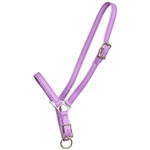 ****PHOTO SAMPLE*** $15 Orchid/Amethyst Beta Biothane Grooming Halter - Horse Size