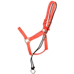 ****PHOTO SAMPLE*** $15 Orange Nylon No Pullback Halter - Horse Size