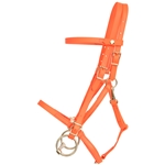 ****PHOTO SAMPLE*** $30 Hunters Orange Beta Biothane Quick Change Halter Bridle Headstall - Horse Size