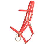 ****PHOTO SAMPLE*** $30 Red Beta Biothane Quick Change Halter Bridle Headstall - Horse Size