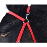 hotpink BETA BIOTHANE Mule Bridle without Noseband 