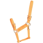 ****PHOTO SAMPLE*** $25 Mango Orange Beta Biothane Buckle Nose Halter - Horse Size