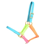 RAINBOW Beta Biothane Halter (5 Colors Mix N Match)