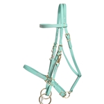 ****PHOTO SAMPLE*** $30 Dusty Turquoise Beta Biothane Halter Bridle with Bit Hangers Headstall with Pink Thread - Horse Size