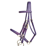 ****PHOTO SAMPLE*** $30 Purple Beta Biothane Halter Bridle with Bit Hangers Headstall with Pink Thread - Horse Size