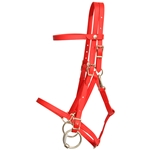 ****PHOTO SAMPLE*** $30 Red Beta Biothane Quick Change Halter Bridle Headstall with Pink Thread - Horse Size
