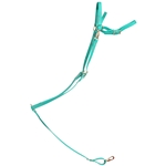 ****PHOTO SAMPLE*** $25 Turquoise Beta Biothane English Breast Collar with Pink Thread - Horse Size