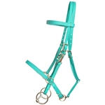 ****PHOTO SAMPLE*** $30 Turquoise Beta Biothane Halter Bridle with Bit Hangers Headstall with Pink Thread - Horse Size