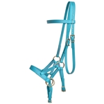 ****PHOTO SAMPLE*** $30 Aqua Blue Beta Biothane Sidepull Bitless Bridle Headstall with Pink Thread - Horse Size