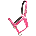 NEOPRENE PADDED Beta Biothane Pack Horse Halter