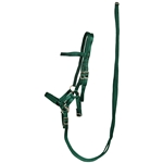 ****PHOTO SAMPLE*** $30 Hunter Green Nylon Sidepull Bitless Bridle with Matching English Reins - Horse Size
