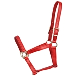 ****PHOTO SAMPLE*** $20 Chili Red Beta Biothane Halter - Horse Size