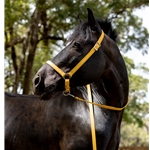 purple BETA BIOTHANE Grooming Halter