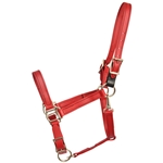 ****PHOTO SAMPLE*** $25 Chili Red Beta Biothane Safety Halter with Leather Breakaway Tab - Horse Size