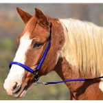 betabiothanecolors BETA BIOTHANE with OVERLAY Grooming Halter