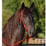 redbetabiothane BETA BIOTHANE Western Bridle with Full Browband