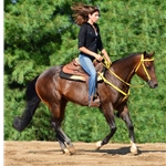 yellowbetabiothane BETA BIOTHANE Western Bridle with Full Browband