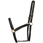****PHOTO SAMPLE*** $20 Black Beta Biothane Halter - Draft Horse Size