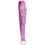 ****PHOTO SAMPLE*** $10 Grape Beta Biothane No Pullback Neck Collar - Horse Size