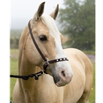 whitebase  BLING Beta Biothane Grooming Halter