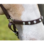 betabiothanecolors BLING Beta Biothane Grooming Halter