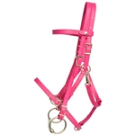 ****PHOTO SAMPLE*** $30 Raspberry/Magenta Pink Beta Biothane with Lime Green Thread QUICK CHANGE HALTER BRIDLE HEADSTALL - Horse Size