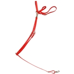 ****PHOTO SAMPLE*** $25 Red Beta Biothane with Lime Green Thread English Breast Collar - Horse Size