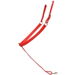 ****PHOTO SAMPLE*** $25 Red Beta Biothane with Lime Green Thread Western Breast Collar - Horse Size