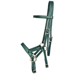 ****PHOTO SAMPLE*** $30 Hunter Green Beta Biothane with Lime Green Thread Sidepull Bitless Headstall - Horse Size
