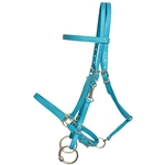 ****PHOTO SAMPLE*** $30 Aqua Blue Beta Biothane with LIME GREEN THREAD Halter Bridle with Bit Hangers Headstall - Horse Size
