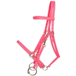 ****PHOTO SAMPLE*** $30 Bubblegum Pink Beta Biothane with LIME GREEN THREAD Halter Bridle with Bit Hangers Headstall - Horse Size