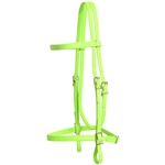 ****PHOTO SAMPLE*** $20 Apple Green Beta Biothane with Green Thread English Headstall - Horse Size