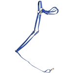 ****PHOTO SAMPLE*** $20 Royal Blue Beta Biothane with Green Thread English Breast Collar - Horse Size