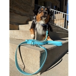 Beta Biothane Dog Leash with Traffic Handle