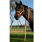 Buckle Nose Halter & Lead Beta Biothane Solid Colored