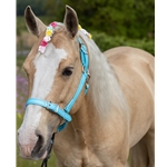 yellow BETA BIOTHANE Buckle Nose Safety Halter