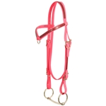 ****PHOTO SAMPLE*** $20 Bubblegum Pink Beta Biothane with Maroon Overlay Western Headstall with Center Ring Browband - Horse Size