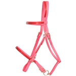 ****PHOTO SAMPLE*** $20 Bubblegum Pink Beta Biothane with Red Overlay Picnic Bridle Headstall - Horse Size