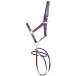 ****PHOTO SAMPLE*** $25 Purple Beta Biothane with Maroon Overlay Halter with Matching Lead - Horse Size