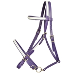 ****PHOTO SAMPLE*** $20 Purple Beta Biothane with White Overlay Picnic Bridle Headstall - Horse Size