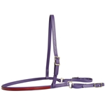 ****PHOTO SAMPLE*** $15 Purple Beta Biothane with Maroon Overlay Jumping Breast Collar - Horse Size