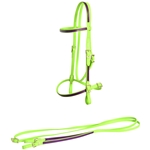 ****PHOTO SAMPLE*** $30  Apple Green Beta Biothane with Purple Overlay English Bridle with Matching Reins - Horse Size