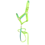 ****PHOTO SAMPLE*** $30 Apple Green Beta Biothane with Teal Overlay Halter with Matching Lead - Horse Size